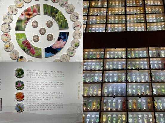 微信图片_20250321170040